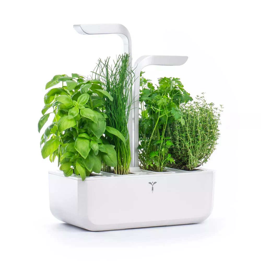 Potager d'intérieur Véritable Smart Edition