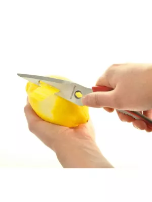 Ciseaux multifonctions Mastrad