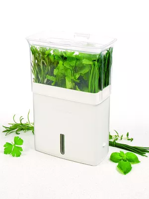 Boîte de conservation à Herbes Fraîches Cole & Mason