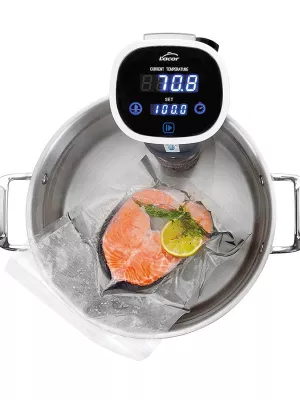 Appareil de Cuisson Basse température Gourmet Lacor