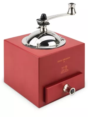 Moulin à poivre Peugeot Roellinger