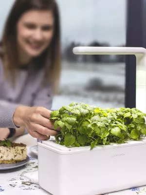 Potager d'Intérieur Click and Grow Smart Garden Emsa