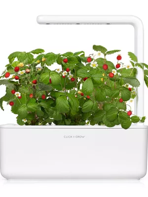 Potager d'Intérieur Click and Grow Smart Garden Emsa