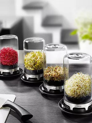 Germoir à Graines Bivita GEFU