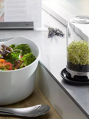 Germoir à Graines Bivita GEFU