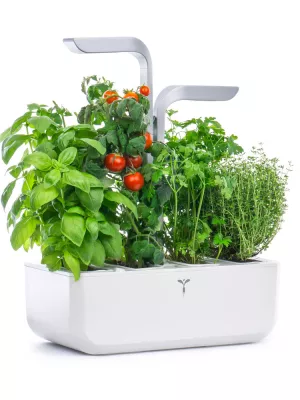 Potager d'intérieur Véritable Classic