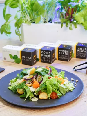 Potager d'intérieur Véritable Classic