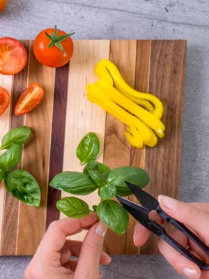 Mini-ciseaux à herbes Véritable