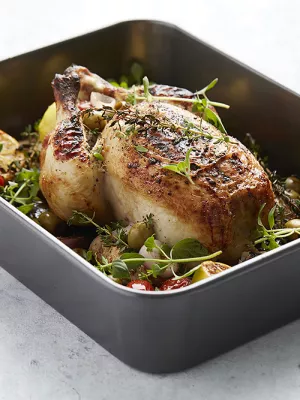 Plat à Four Anti-adhésif Point Virgule