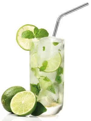 4 Pailles Coudées Inox + Goupillon Westmark