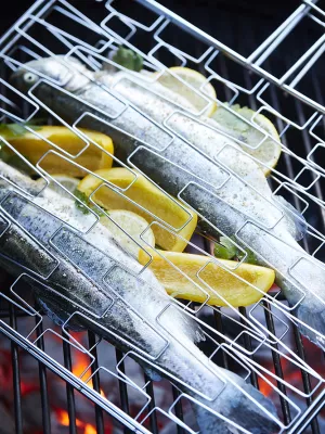 Grille Flexible BBQ Inox Point Virgule