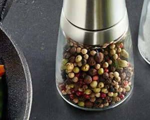 Moulin multi-usages céramique Kyocera