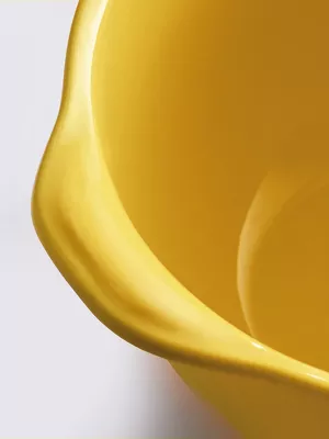 Bol à gratinée Emile Henry