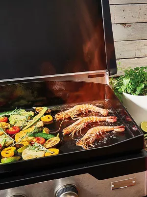 Plancha Gaz Outdoor De Buyer par Le Marquier