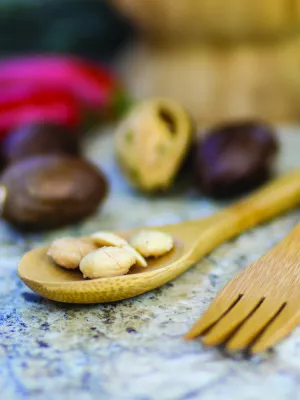 Couverts Bambou Totally Bamboo