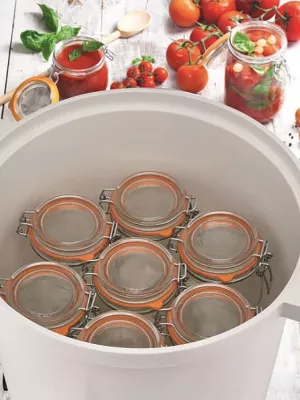 Stérilisateur Electrique 28 litres Nature & Saveurs