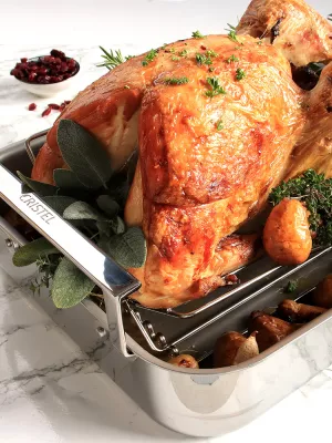 Plat à Four Roaster Cristel