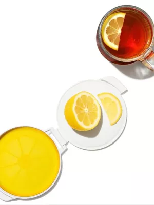 Economiseur de Citron Coupé Oxo