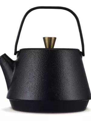 Théière en Fonte Saga Beka