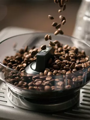 Machine Expresso Barista Touch Sage