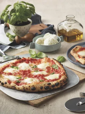 Mini Four The Smart Owen Pizzaiolo Sage