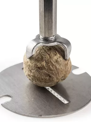 Moulin Muscade Tidore Peugeot