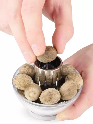 Moulin Muscade Tidore Peugeot