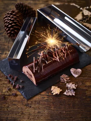 Gouttière à bûche démontable forme ronde De Buyer