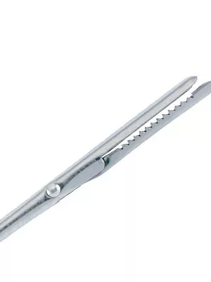 Aiguille à larder Westmark