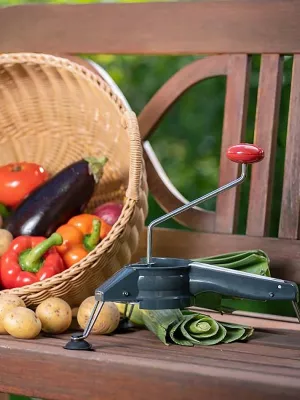 Moulin à julienne Westmark