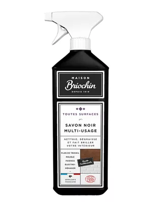 Vaporisateur de Savon Noir Multi-usages 750 ml Briochin