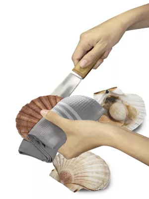 Couteau à Coquille Saint-Jacques Louis Tellier