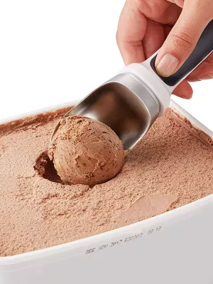 Cuillère à Glace Zyliss