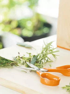 Ciseaux de Cuisine Fiskars