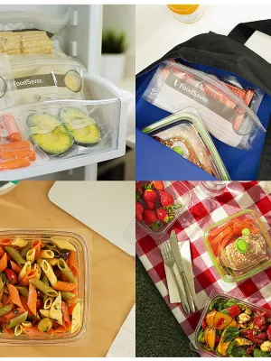 Machine à Emballer Sous Vide FFS005X Food Saver