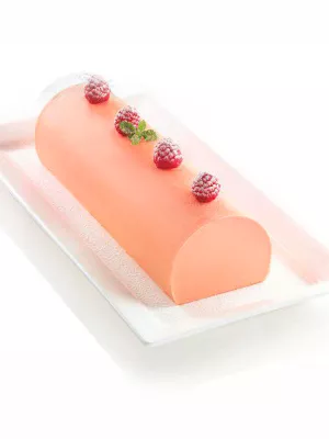 Moule à Bûche Frozen Silikomart