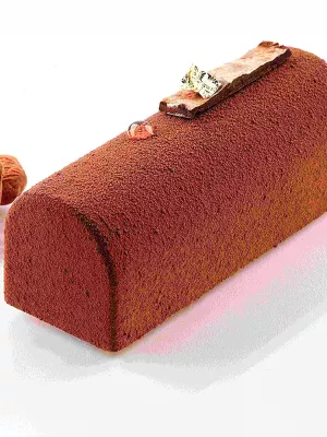 Moule 9 Mini-Bûches Classic Silikomart