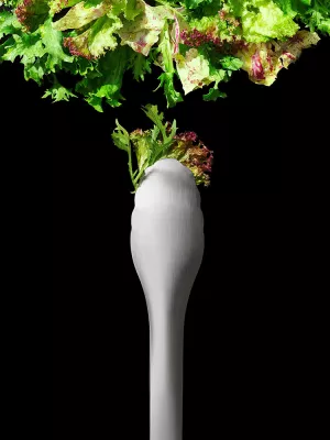 Pince de Service et salade Inox Oxo