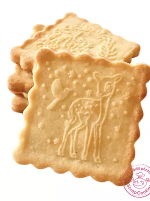 Tampon à biscuit + découpoir Scrapcooking