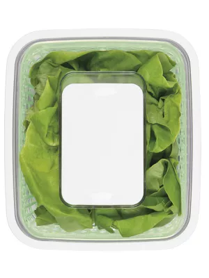 Boîte de conservation Greensaver Charbon Actif Oxo