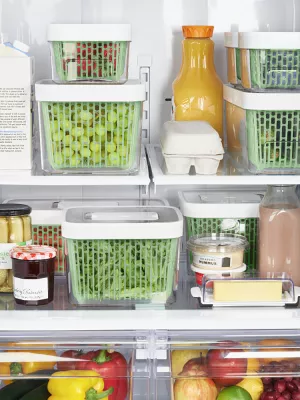 Boîte de conservation Greensaver Charbon Actif Oxo