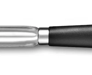 Vide pomme Lion Sabatier