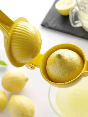 Presse Citron Hendi