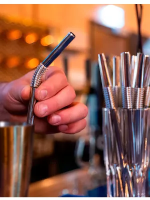 Paille Inox pliable