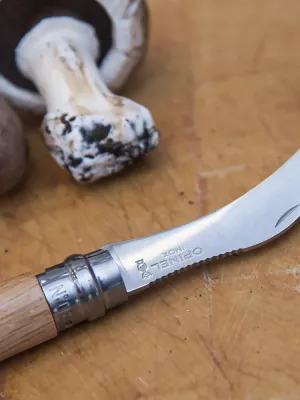 Couteau de Poche à Champignons N°08 Opinel