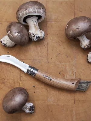 Couteau de Poche à Champignons N°08 Opinel