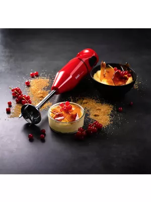 Mixeur Plongeant sans fil Cordless Plus Bamix