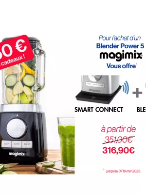 Blender Power 5 Magimix