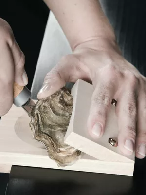 Cale Huitre Hêtre Jetter