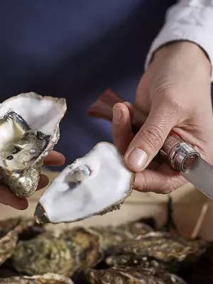 Couteau à Huîtres & coquillages Opinel n°09